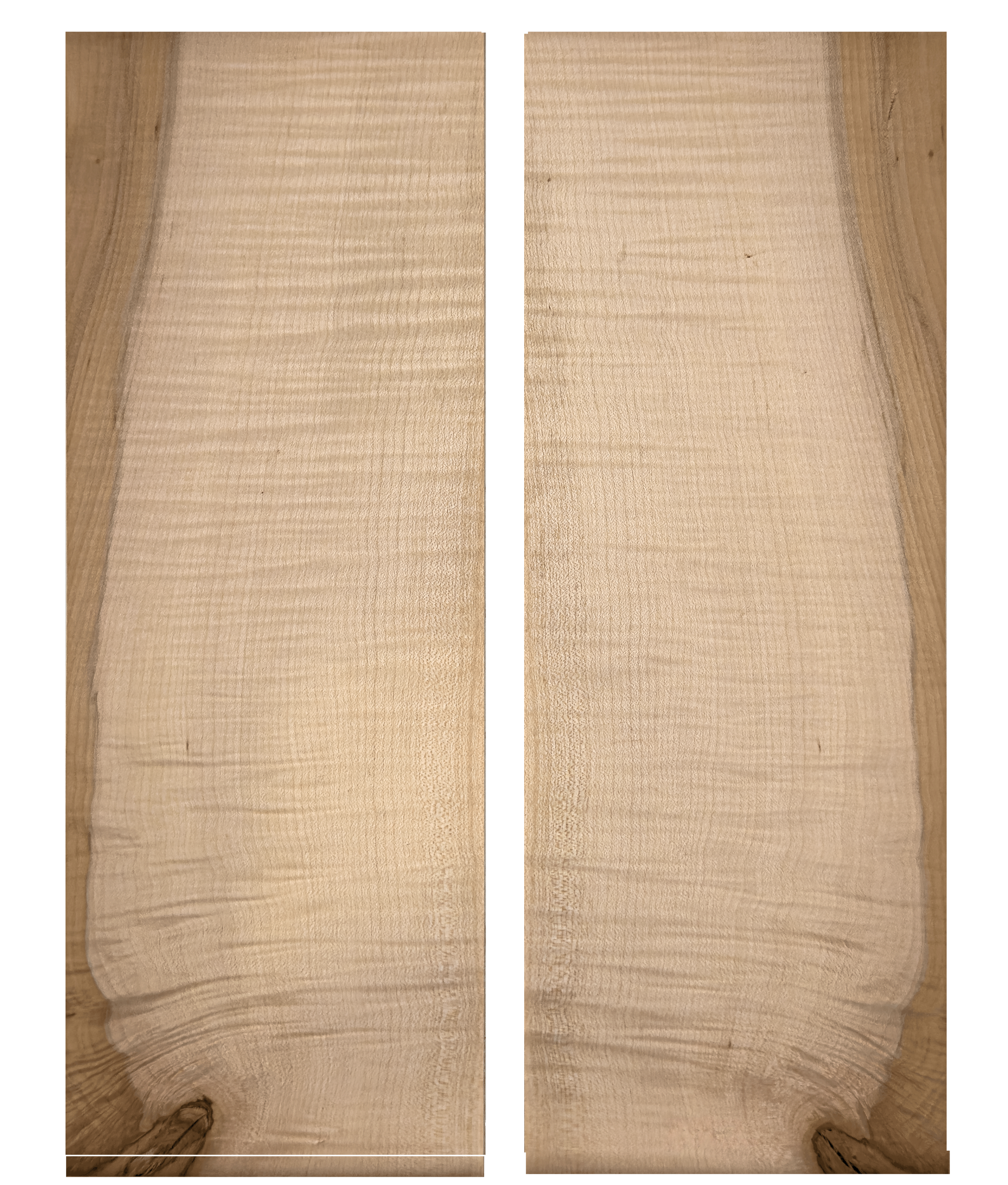AAA flamed Maple
